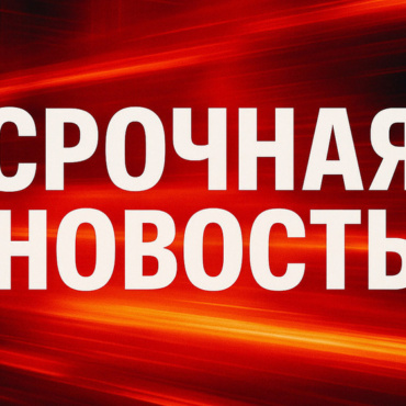 В Рамат-Гане выявлена собака, зараженная бешенством